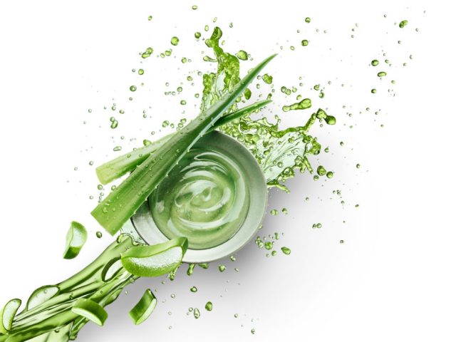 Aloe
